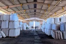 Operação apreende 3 mil toneladas de sementes piratas no Noroeste do RS