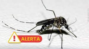 RS registra o segundo óbito por dengue em 2024