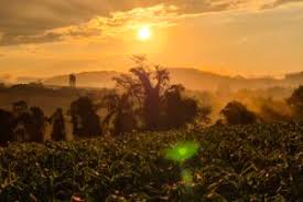 RS deve ter redução de chuvas em novembro e estiagem em dezembro