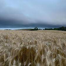 Primavera será período de “provação” para agricultores do RS, diz meteorologista da Secretaria de Agricultura