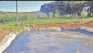 Criança de um e 10 meses morre após cair em esterqueira