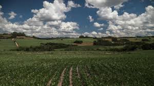 Meteorologia confirma fenômeno La Niña em 2025; veja o que muda no clima do RS