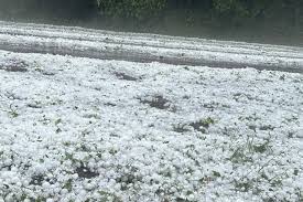 Município no Norte do RS tem 500 casas danificadas por temporal de granizo