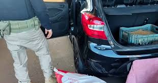 Casal é preso em flagrante com 100 kg de maconha na BR-285, no Noroeste do RS