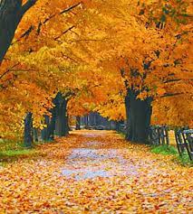 Calor está com dias contados: vem aí a primeira frente fria do outono