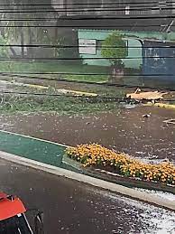 Árvore que havia sido atingida por raio, caiu nesta madrugada com a força do vento em Três Passos