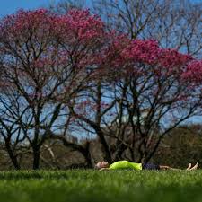 Tempo Cadê o sol? Saiba quando o clima no RS terá enfim cara de primavera