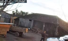 Agricultor morto em abordagem policial no RS era natural de Vista Gaúcha; entenda o caso