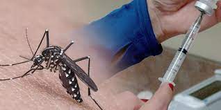 Agência dos Estados Unidos aprova a primeira vacina contra a chikungunya