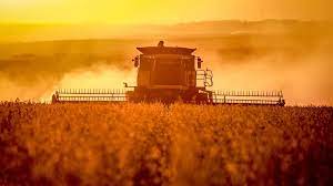 O que esperar do clima para o mês de março no Rio Grande do Sul; confira