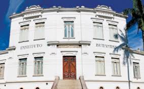 Vacina inédita para chikungunya será produzida no Instituto Butantan e submetida à Anvisa nos próximos meses